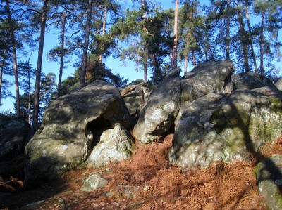 Secteur W du Mont Ussy Secteur W du Mont Ussy