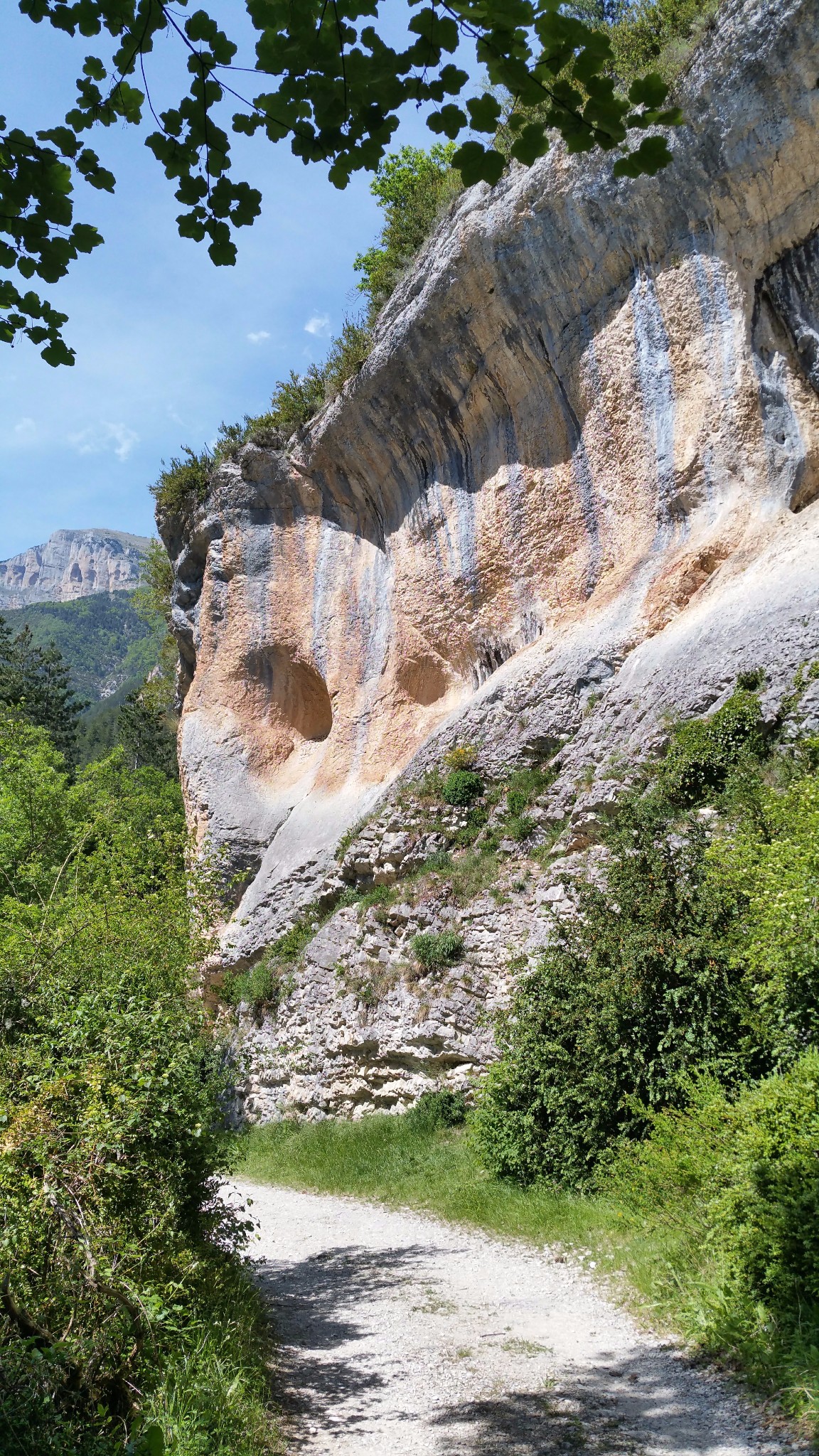 Vallon de Baïn, rive gauche