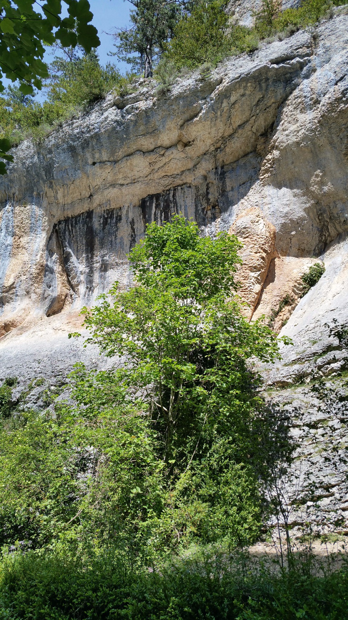 Vallon de Baïn, rive gauche