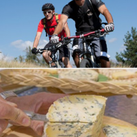 Fourme d'Ambert
