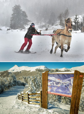 Les monts du Cantal