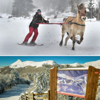 Les monts du Cantal