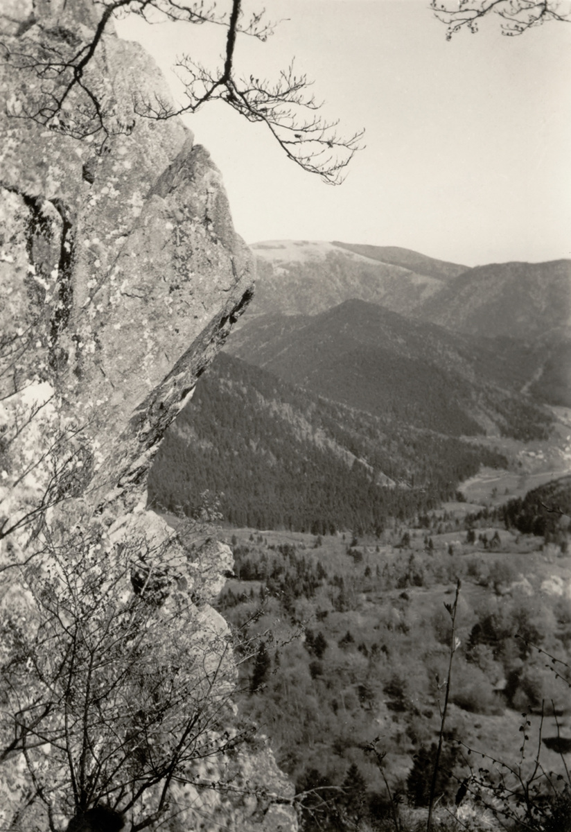 Les Vosges, Riesenwald et Dimbach vus du sentier du lac des Perches