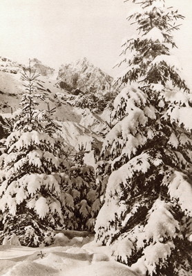 Engelberg par Photoglob