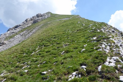 croupe herbeuse&fleurie- antecime Sud Etale