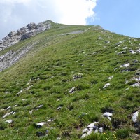 croupe herbeuse&fleurie- antecime Sud Etale