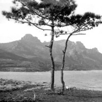 Cap Roux, par Georges Louis Arlaud