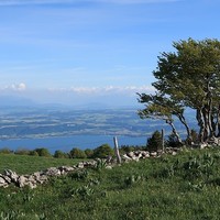 Sur la Crêt aux Moines.