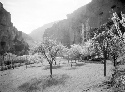 Cirque des Daumes, Gorges du Tarn, par Georges Louis Arlaud Cirque des Daumes, Gorges du Tarn, par Georges Louis Arlaud