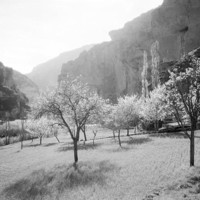 Cirque des Daumes, Gorges du Tarn, par Georges Louis Arlaud
