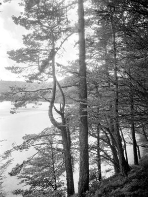 Lac Pavin par Georges Louis Arlaud Lac Pavin par Georges Louis Arlaud