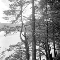Lac Pavin par Georges Louis Arlaud