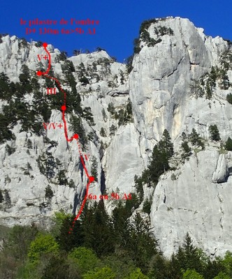 topo