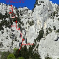 topo