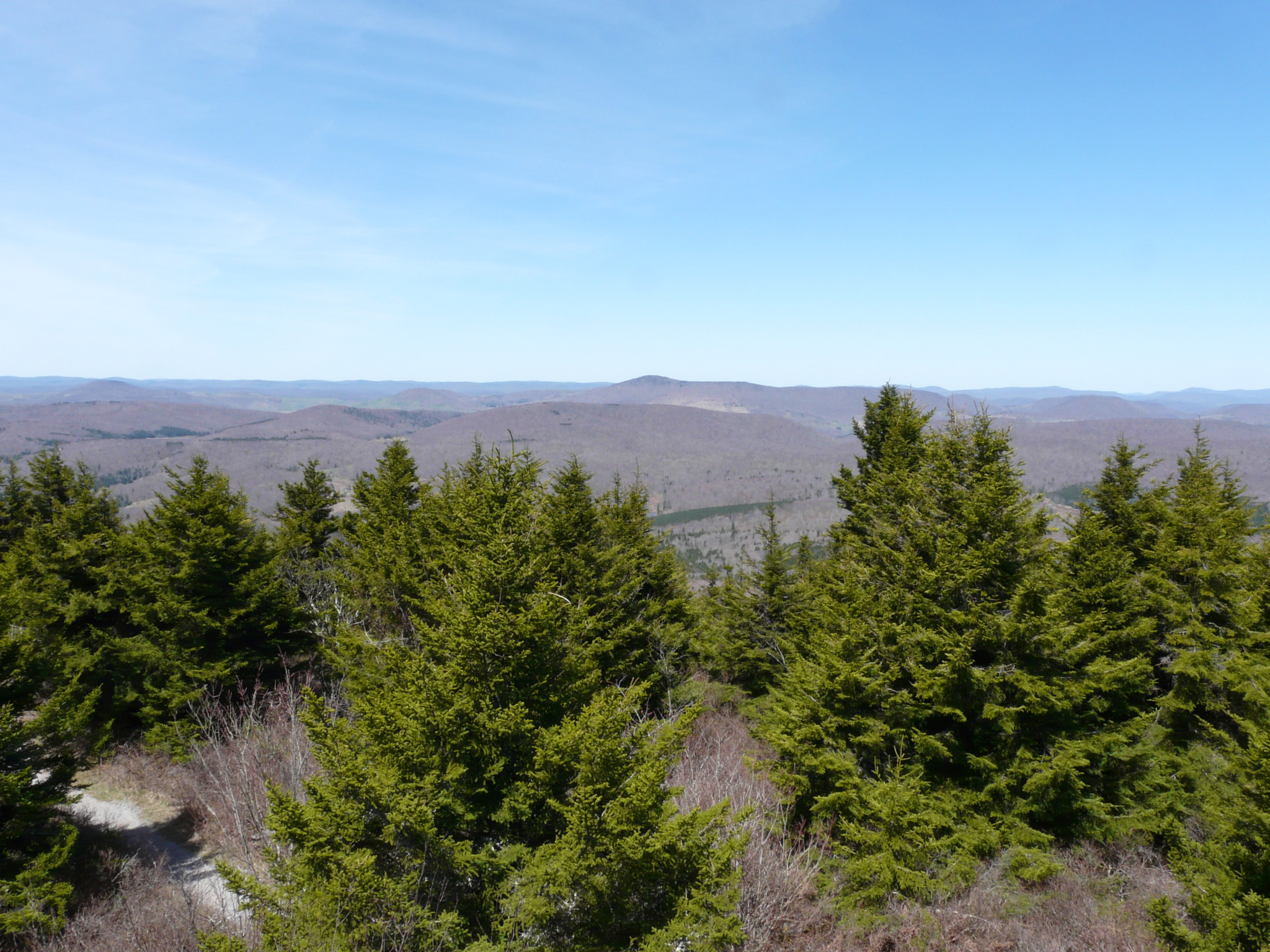 Lanscape from the Spruce Knob lookout tower