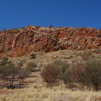 Stegar Road