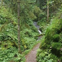 chemin du Saut de la Bourrique