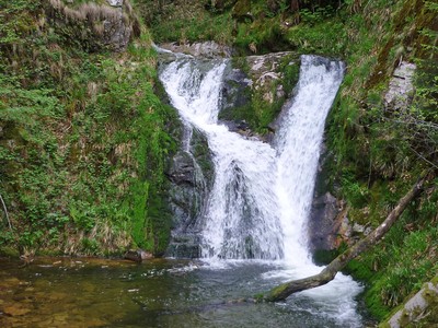 Allerheiligen Allerheiligen