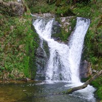 Allerheiligen