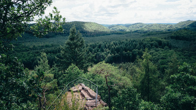 Waldeck Waldeck