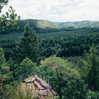Waldeck