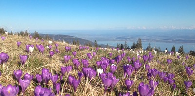 [PhotoSophie2017]LacNeuchâtel