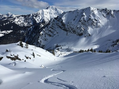 [PhotoSophie2017] : Poudreuse extra sous Tavaneuse (Chablais, 74)