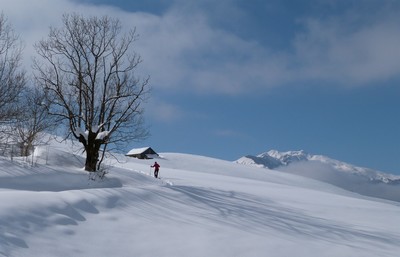 [PhotoSophie2017] Montagne Verte, Laruns, Pyrénées Atlantiques