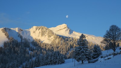 [PhotoSophie2017] Poésie, Folliu Borna
