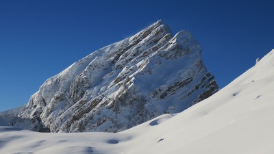 [PhotoSophie2017] Crème glacé, Vanil des Artses
