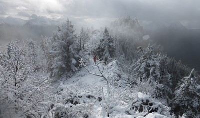 [PhotoSophie2017] Mont Julioz - Massif des Bauges