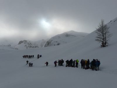 [PhotoSophie2017] C'est la chenille ! Val de Cherue, vallée d'Ossau
