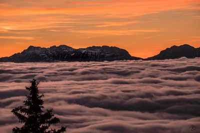 [PhotoSophie2017] Vercors sur la mer