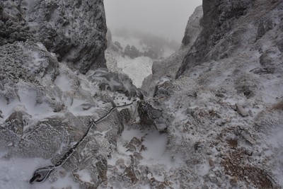 [PhotoSophie2017] Hiver