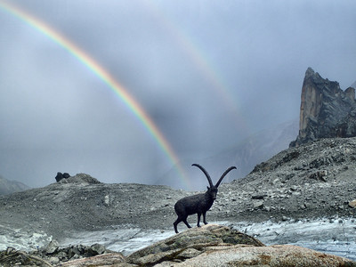 [PhotoSophie2017] Tir à l'arc sur le Portalet
