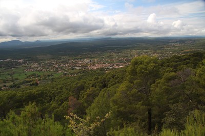 Plateau d'Aups (Croix des pins)