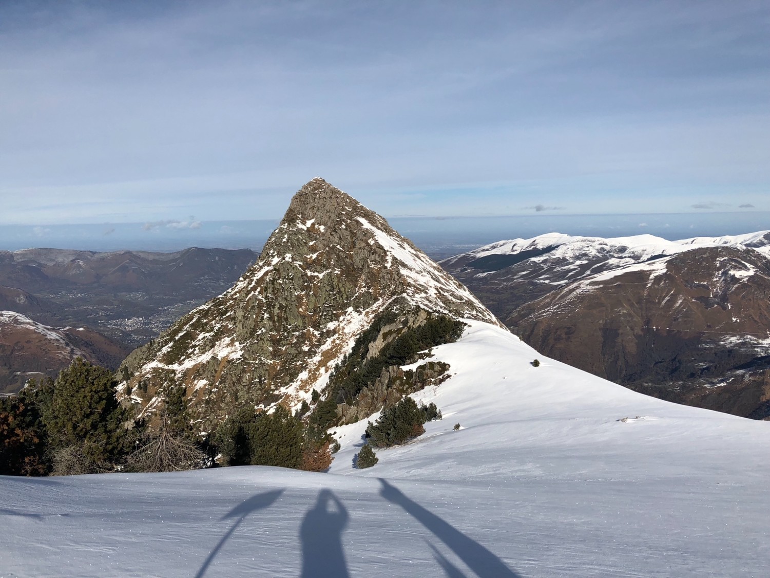 Viscos