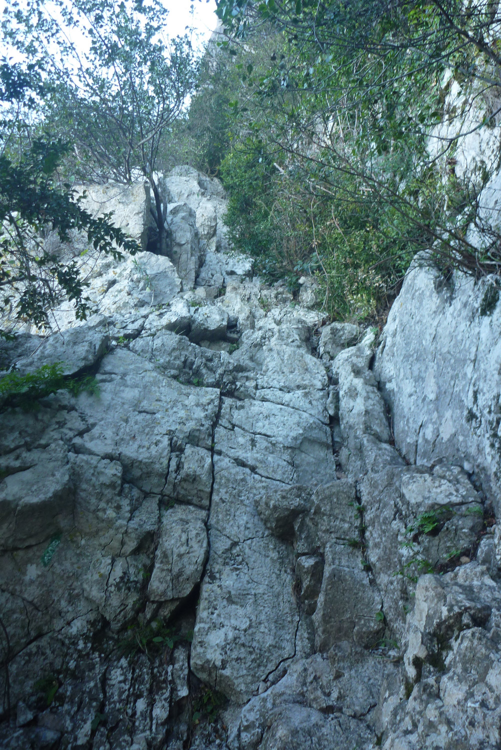 Pic Saint Loup dans la diagonale