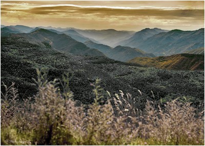 Vision des Alpes Maritimes depuis les environs du Puy de Rent (crédit photo : Didier Fabre)