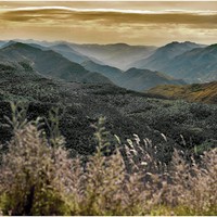Vision des Alpes Maritimes depuis les environs du Puy de Rent (crédit photo : Didier Fabre)