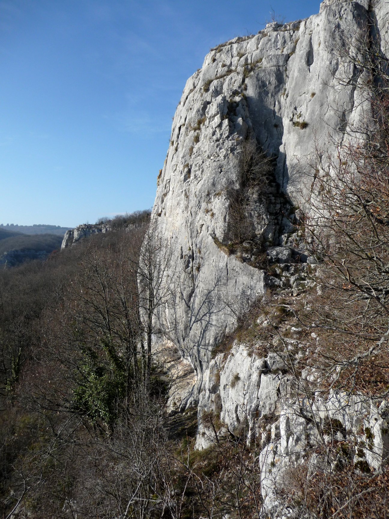 Vue de Chambolle-Musigny