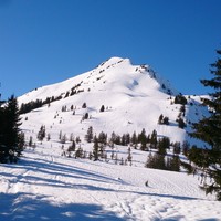 Roche Plane 2166 M