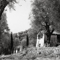 Collines niçoises par Jean Gilletta