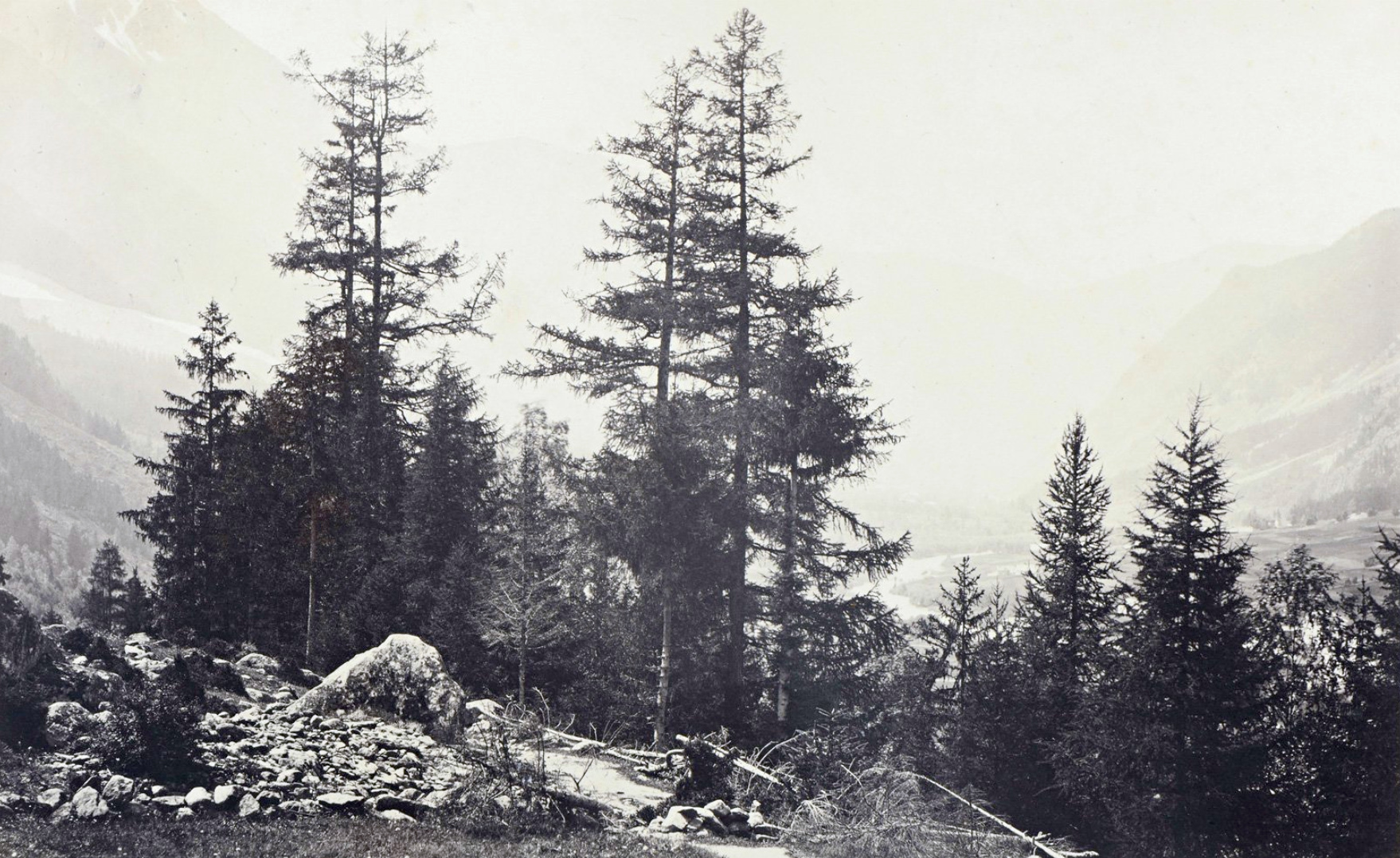 Descente du Montenvers en 1858 par Bisson