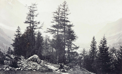 Descente du Montenvers en 1858 par Bisson Descente du Montenvers en 1858 par Bisson