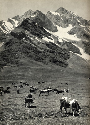 Col des Aravis Col des Aravis