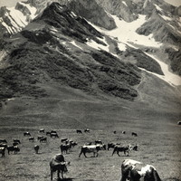Col des Aravis