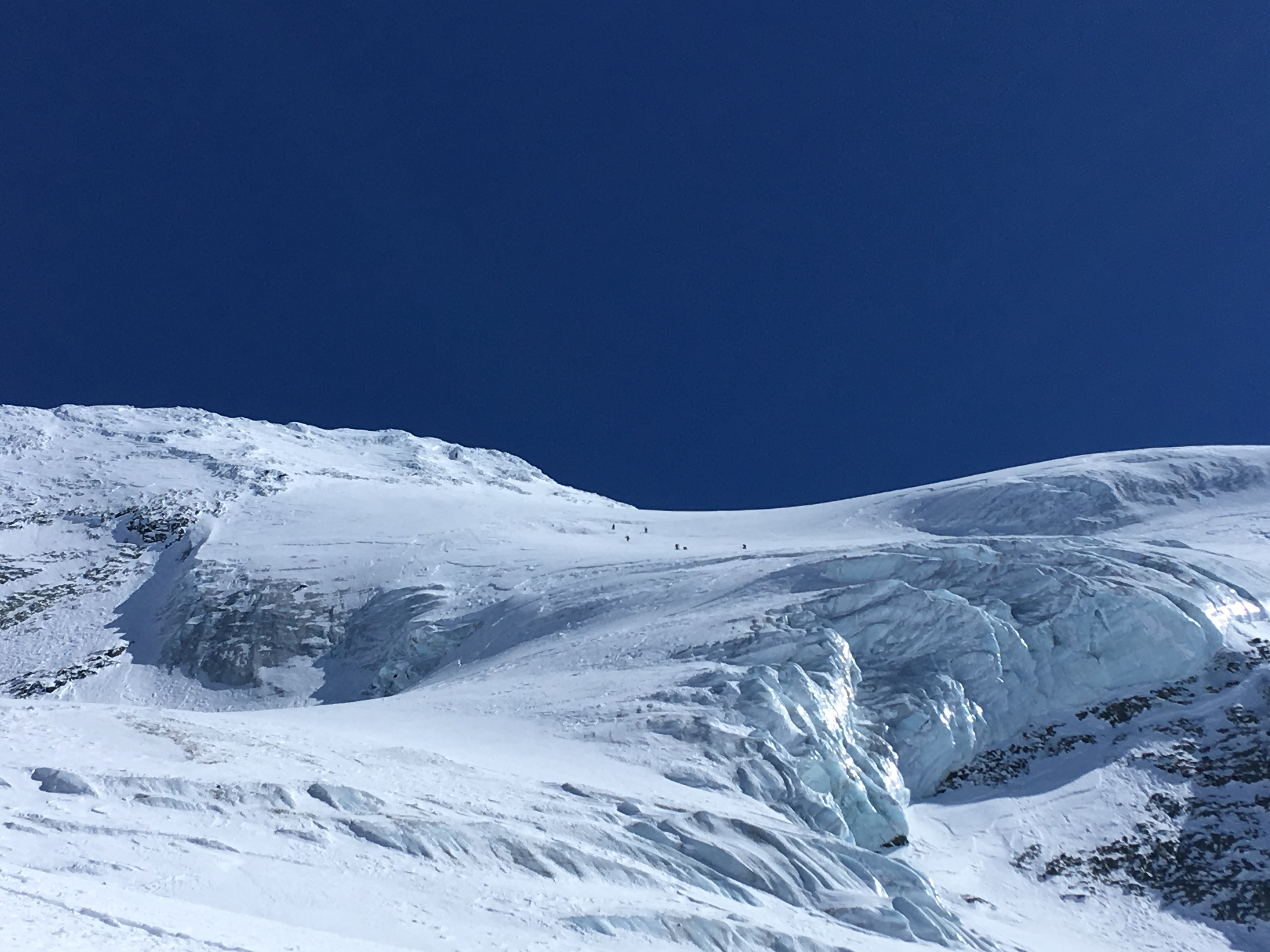 Mont Pourri : Versant W - Grand Col >> Col des Roches >> Glacier du ...