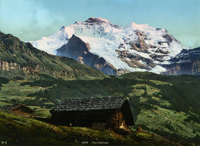 Jungfrau vue de Wengen, en 1900, par Wehrli N°0000003677