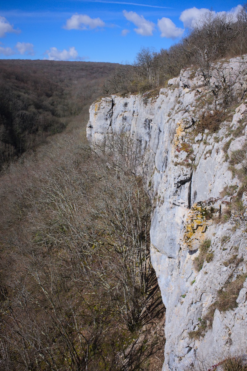 Vue de Arcenant